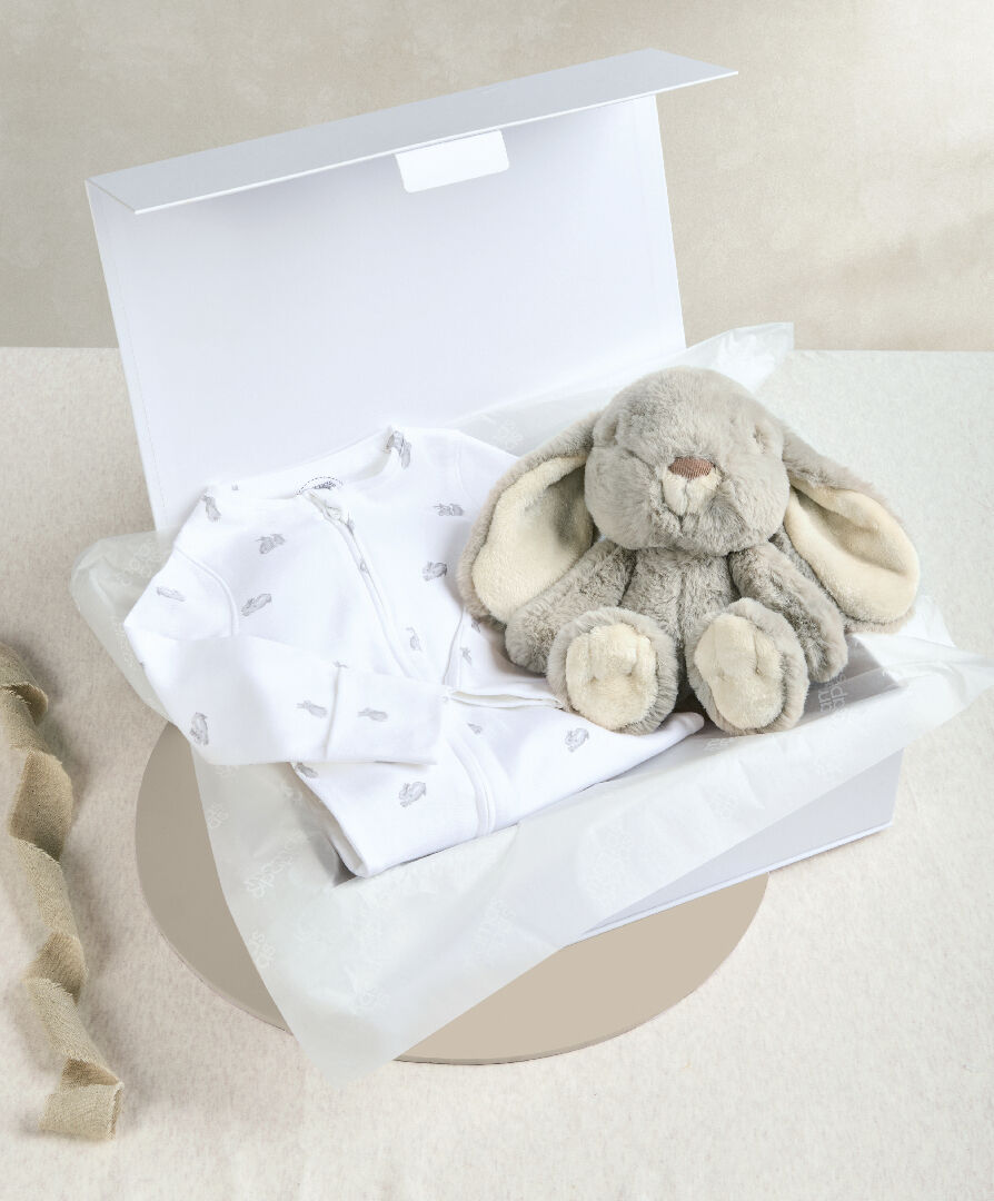 Bunny All In One & Bunny Soft Toy - 2 Piece Gift Set